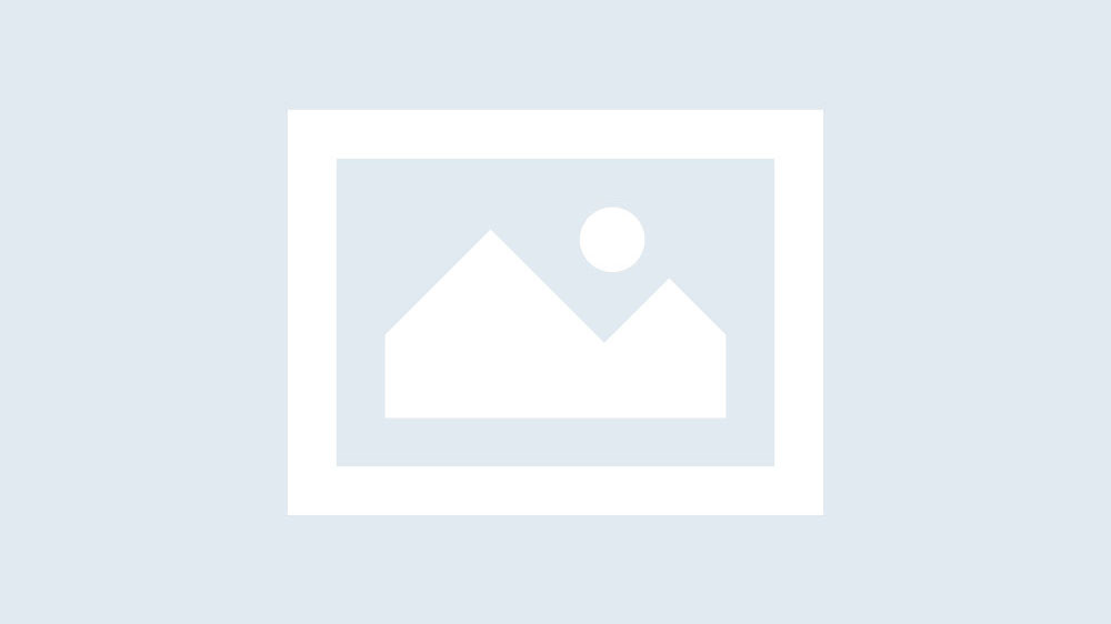 Blog item « Details »