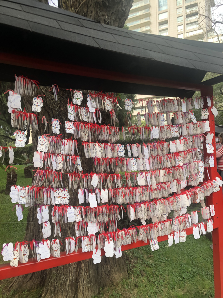 Hung up wishes in the Japanese Garden, Buenos Aires