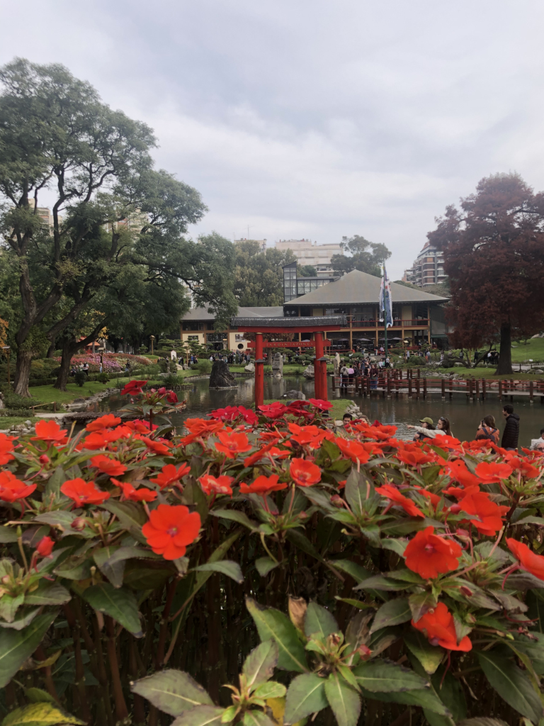 Red flowers in the Japanese Garden, Buenos Aires