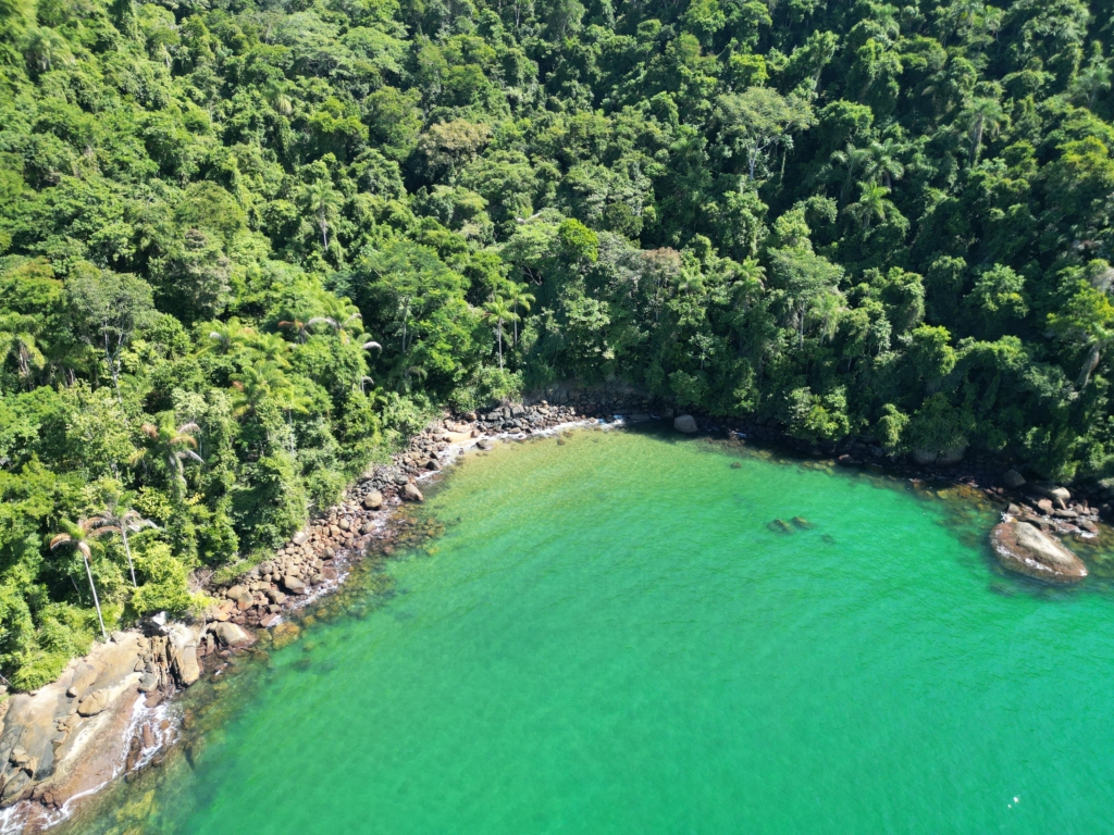 Turquoise water in Ilha Grande, Brazil