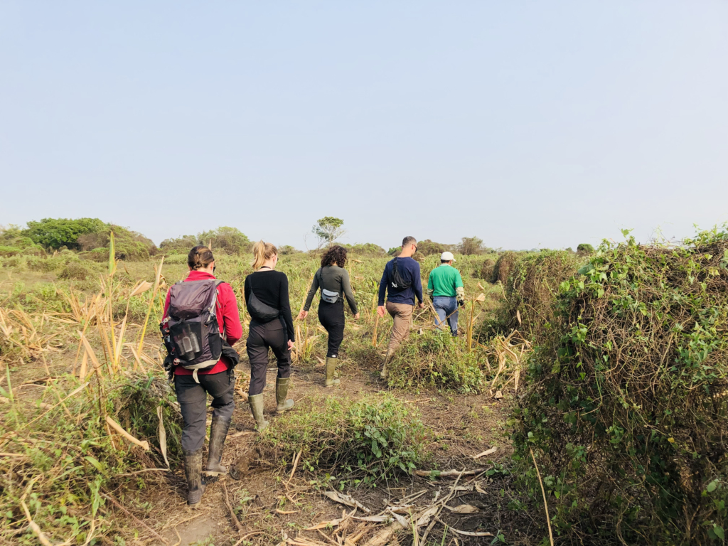 Friends walking through the Amazon Pampa in Bolivia