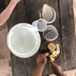Fresh sugar cane juice with lemon in Bolivia, South America