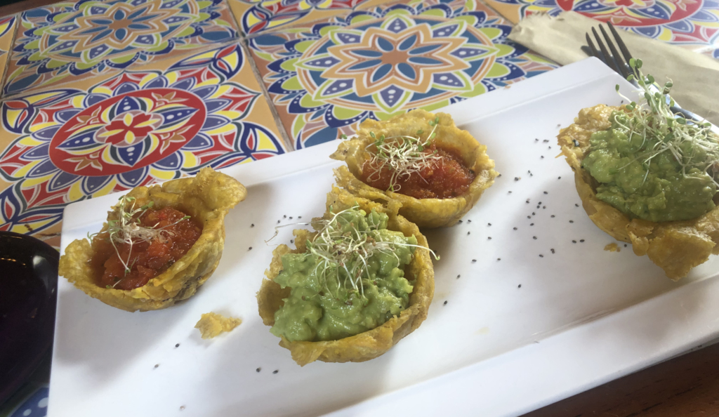Gluten free plantain bowls with guacamole and salsa