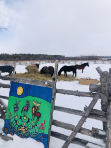 Painting in from of horses in Madahoki, Ottawa, Canada