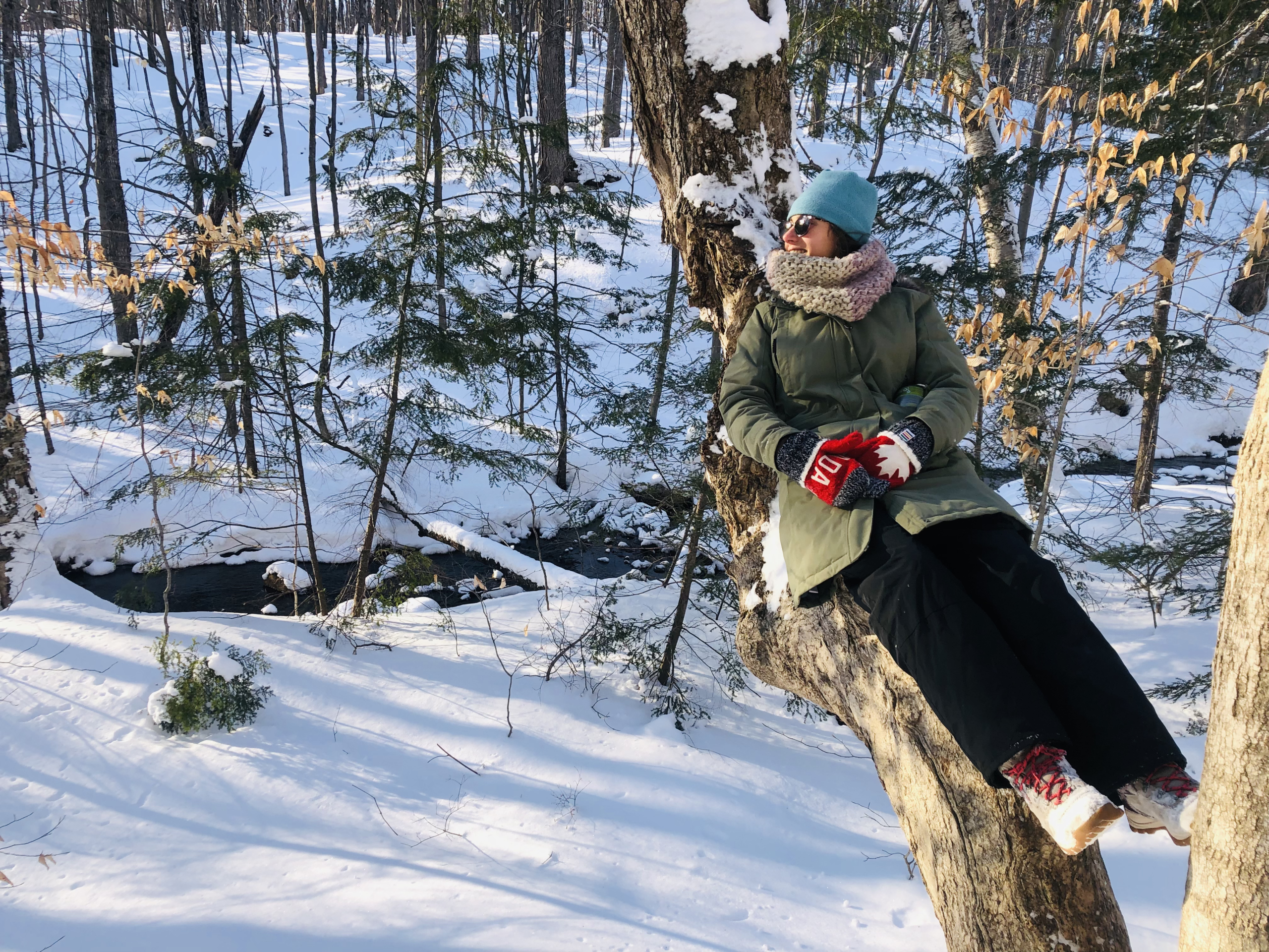 Snowy national park in Ottawa, Canada